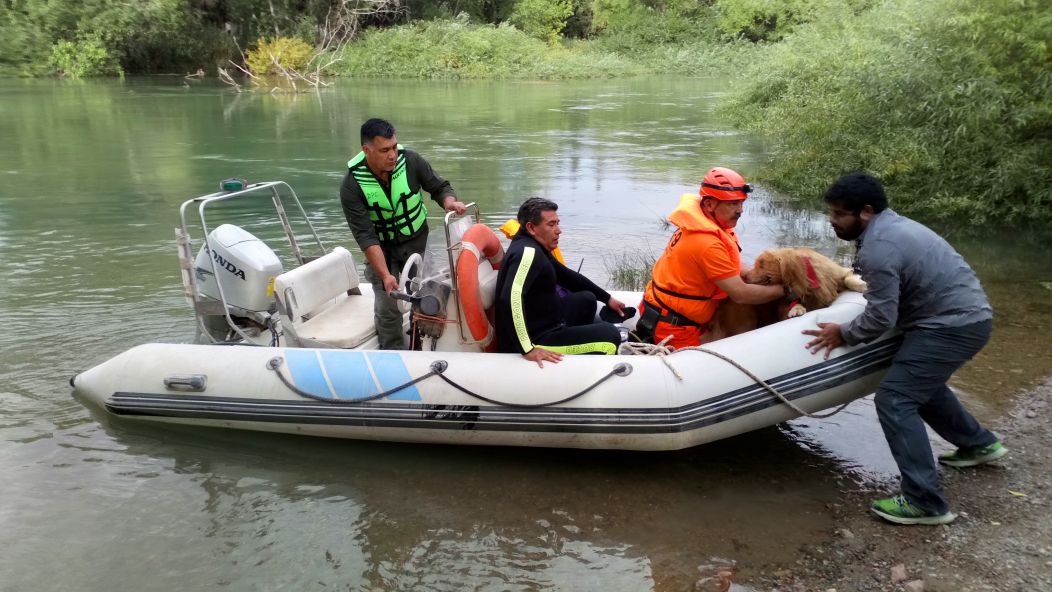 Tres binomios de nuestra Federaci�n buscan joven extraviado en Trelew