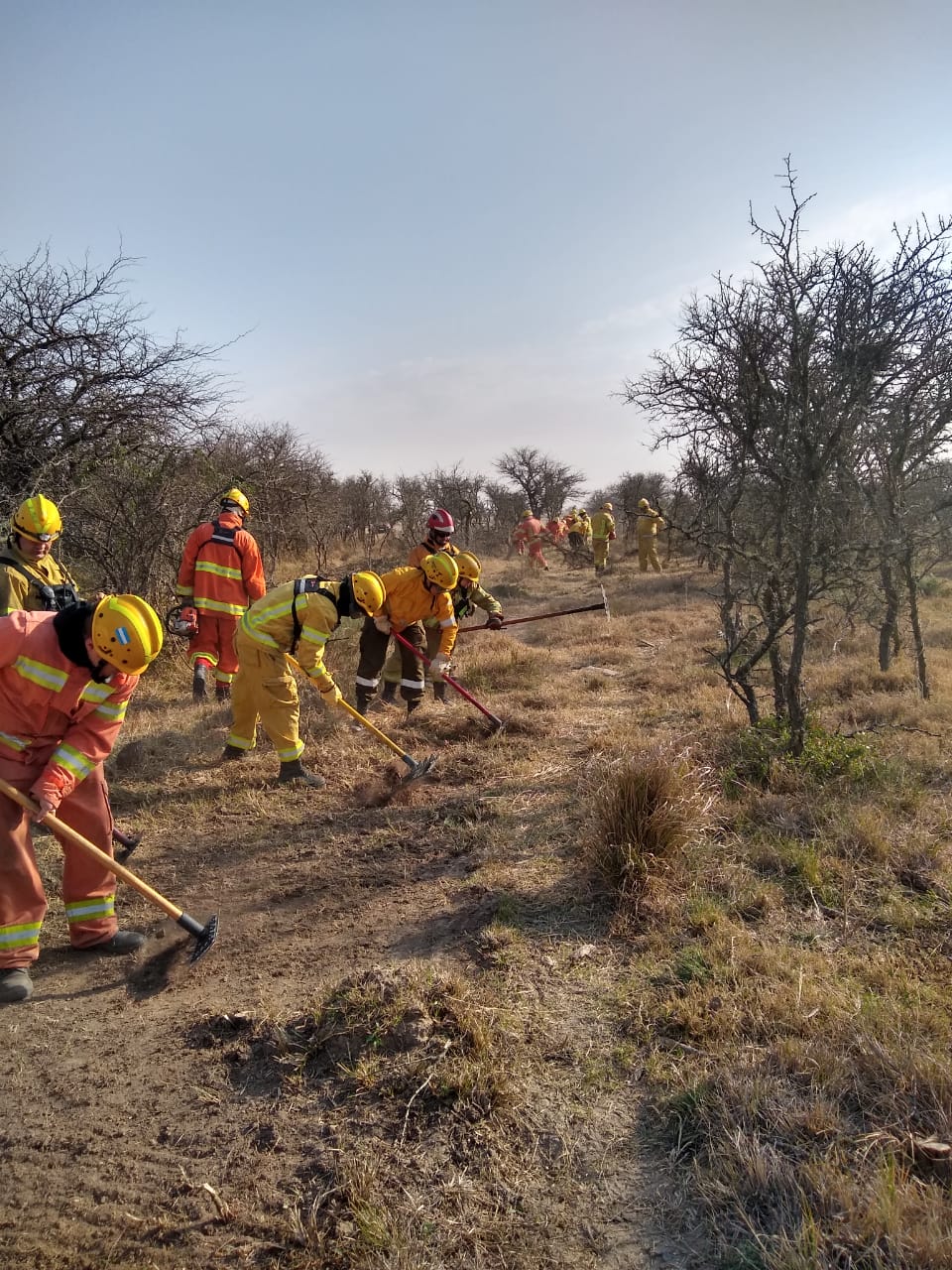Regional Federativa N2: Capacitacin del Departamento Incendios Forestales