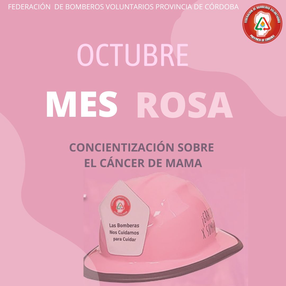 Octubre Rosa: Concientizacin sobre el Cncer de Mama