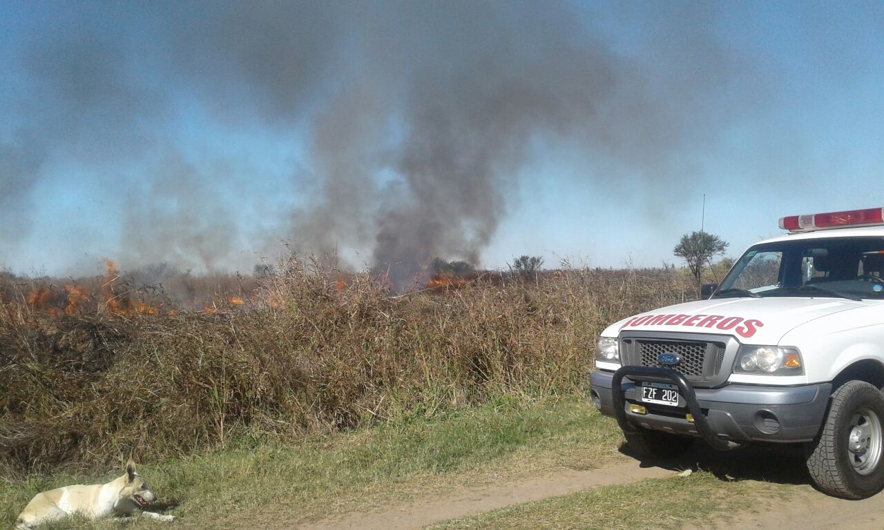 Bomberos de San Francisco presentes en sus comunidades