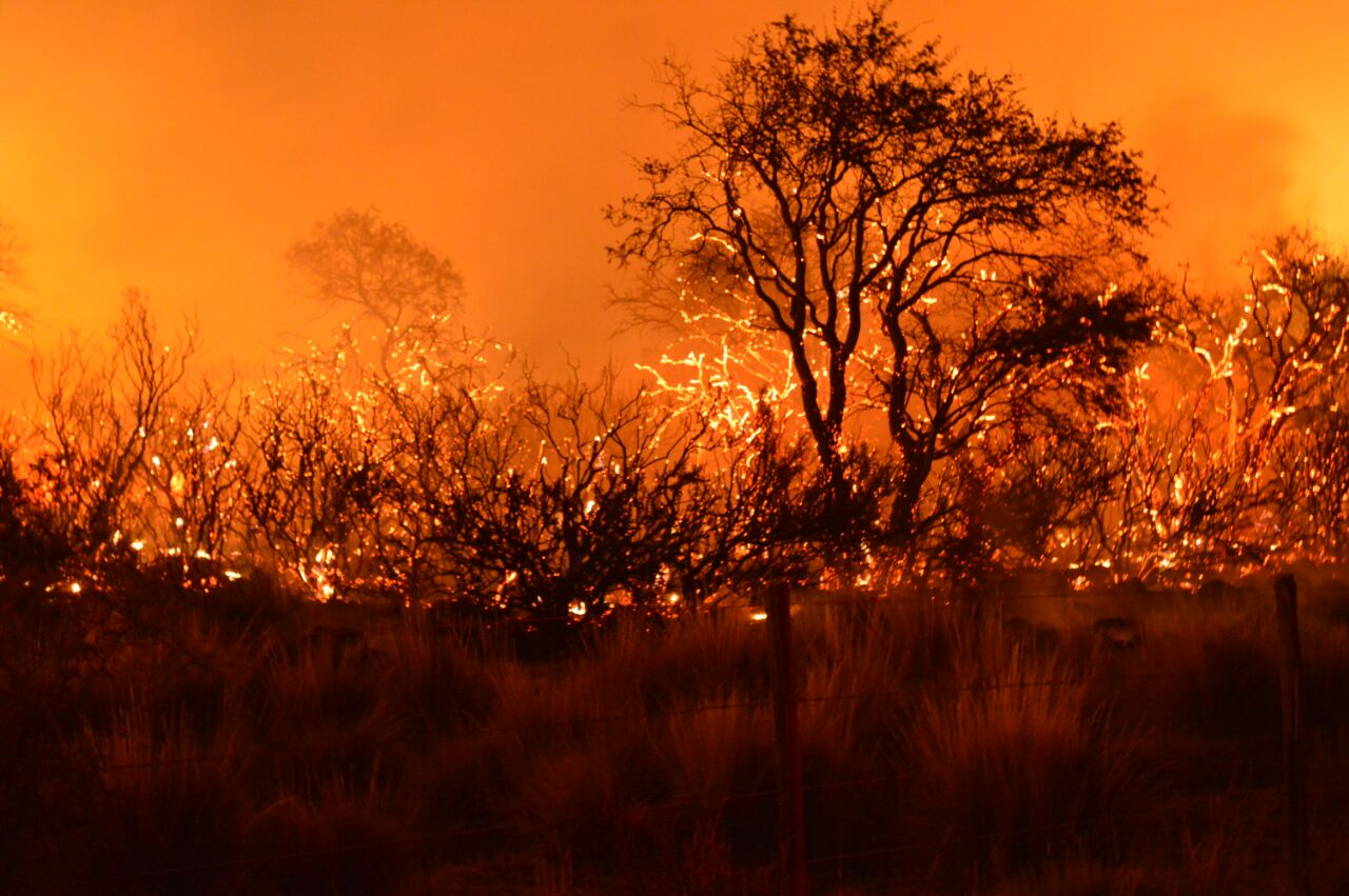 Bomberos de nuestra Federaci�n combaten incendios en La Pampa