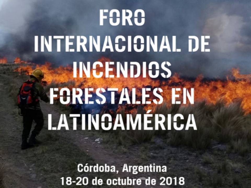 Foro Internacional de Incendios Forestales en Latinoam�rica