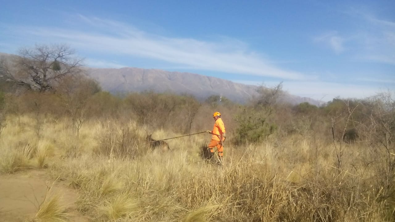 Binomios de nuestro Departamento ByR de K9 en la B�squeda de Delia