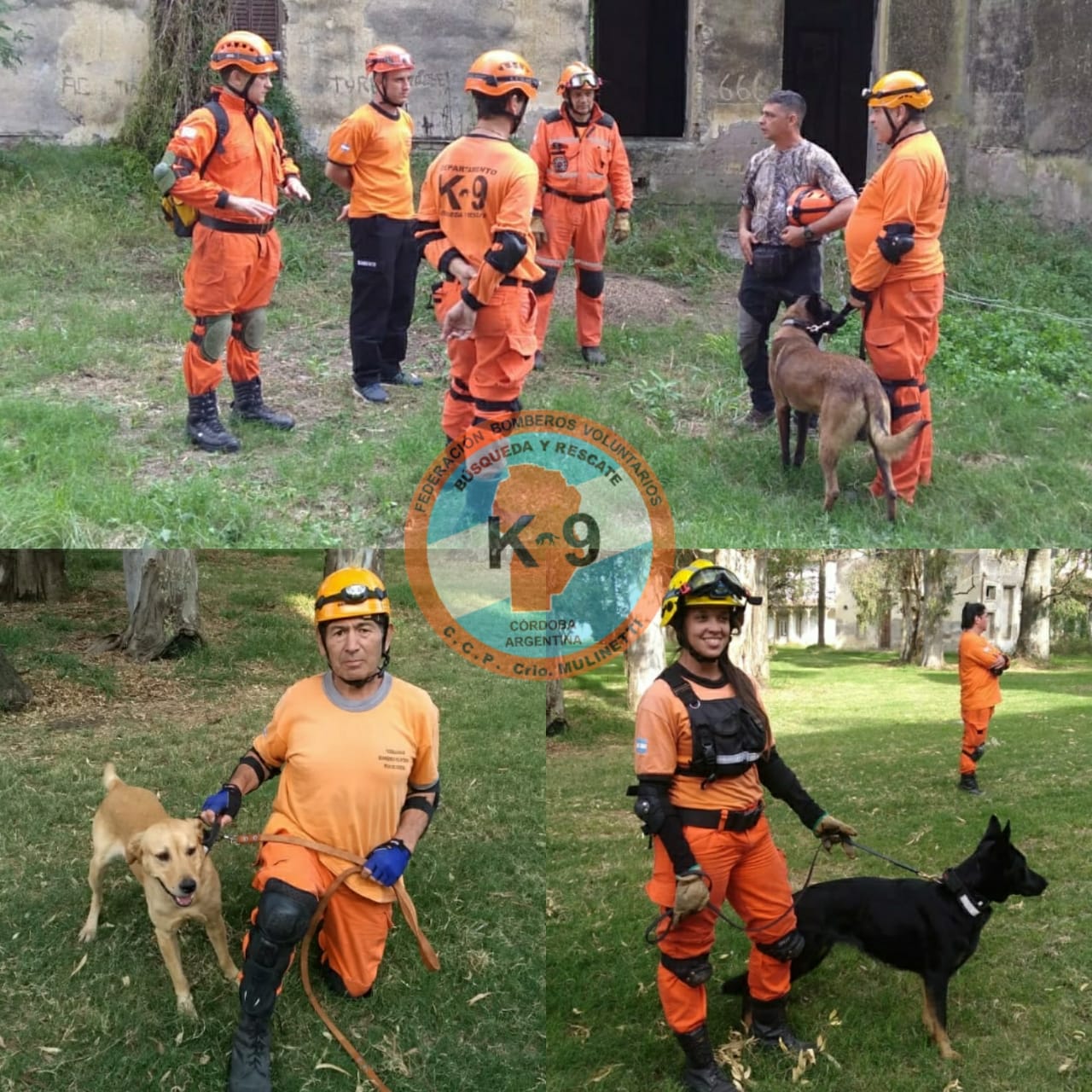 Departamento B�squeda y Rescate con Canes: Curso Especial