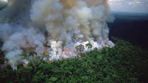 Nuestra Federaci�n integra 242 Bomberos para los IIFF del Amazonas