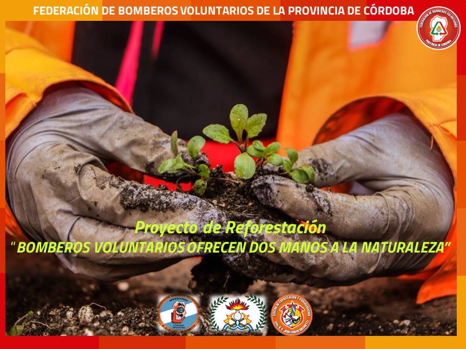 Reforestaci�n: Bomberos Voluntarios ofrecen dos manos a la naturaleza