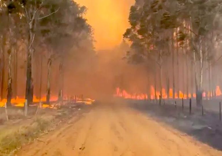 Brigadistas y Unidades Federativas combaten los IIFF de Corrientes