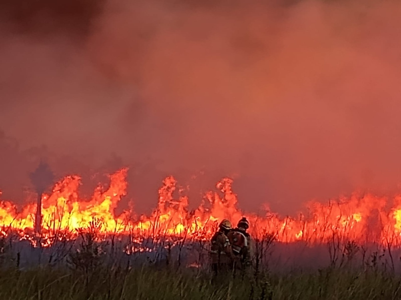 IIFF en Corrientes: Bomberos Federativos trabajan con CUO y PPMF