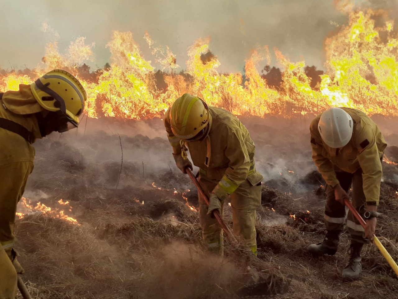 Nos enorgullece el profesionalismo de nuestros Bomberos Federativos