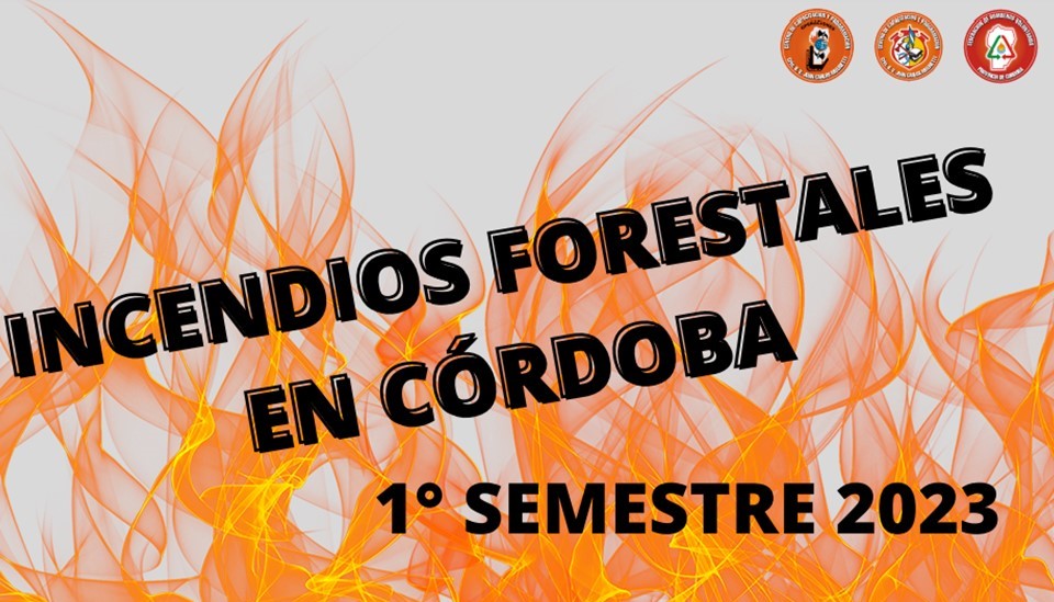 Direcci�n de Operaciones: Hect�reas afectadas por IIFF-1� semestre 2023